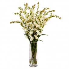 25 TubeRose With Vase