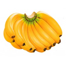 Himshagor Banana 2 Dojen