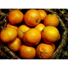 Orange(4kg)